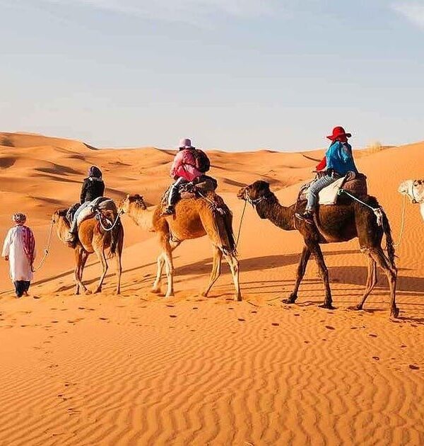 Morocco Tours – Explore Morocco from Casablanca to Marrakech