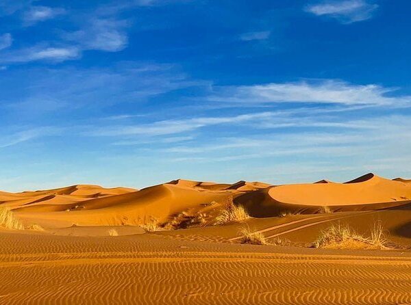 Tour from Marrakech to Fes