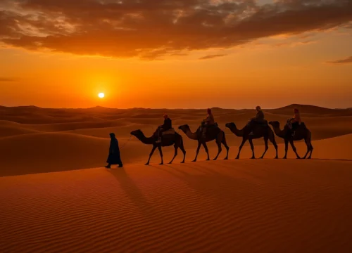 14-Day Grand Morocco Tour from Tangier – Full Experience