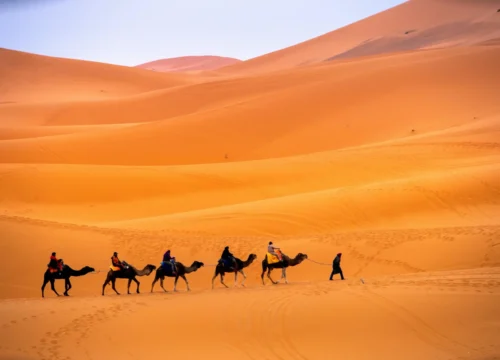 7-Day Morocco Tour from Tangier to Marrakech via Chefchaouen, Fes & Sahara