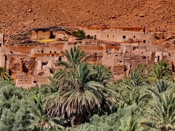 Desert Tours from Ouarzazate