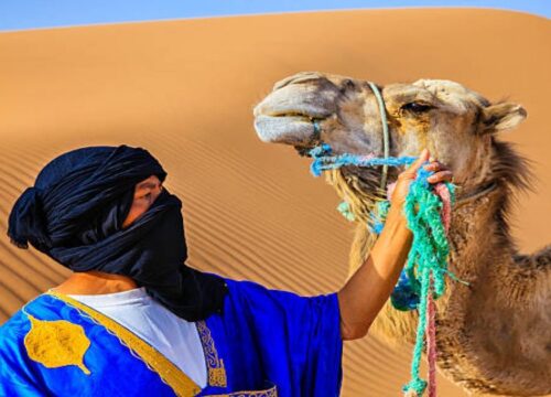 4-Day Desert Tour from Marrakech to Fes via Merzouga