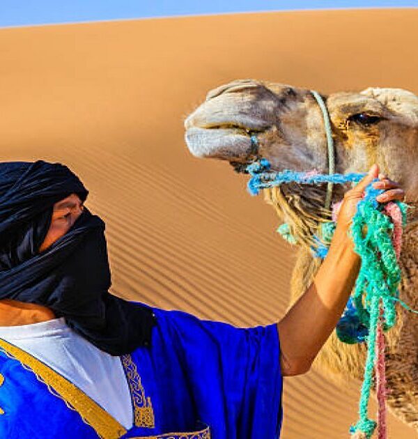 Tour from Marrakech to Fes