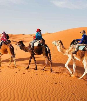 Morocco Tours: Discover the Best Luxury Morocco Desert Tours