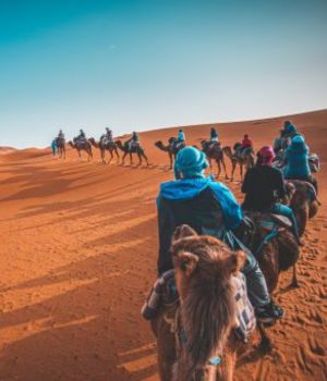 Trek Desert Morocco