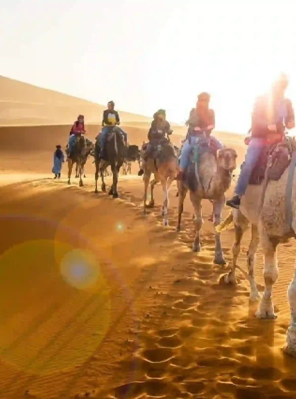 Tour from Marrakech to Fes