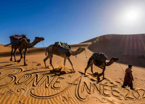 Bonne Année 2026 : Vivez des Tours Inoubliables au Maroc avec Trek Desert Morocco