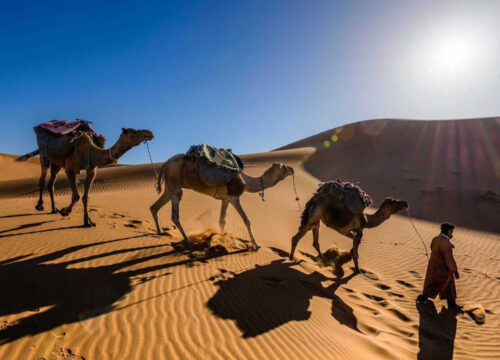 CAN 2025 Maroc – Une parenthèse d’aventure et de calme avec Trek Desert Morocco