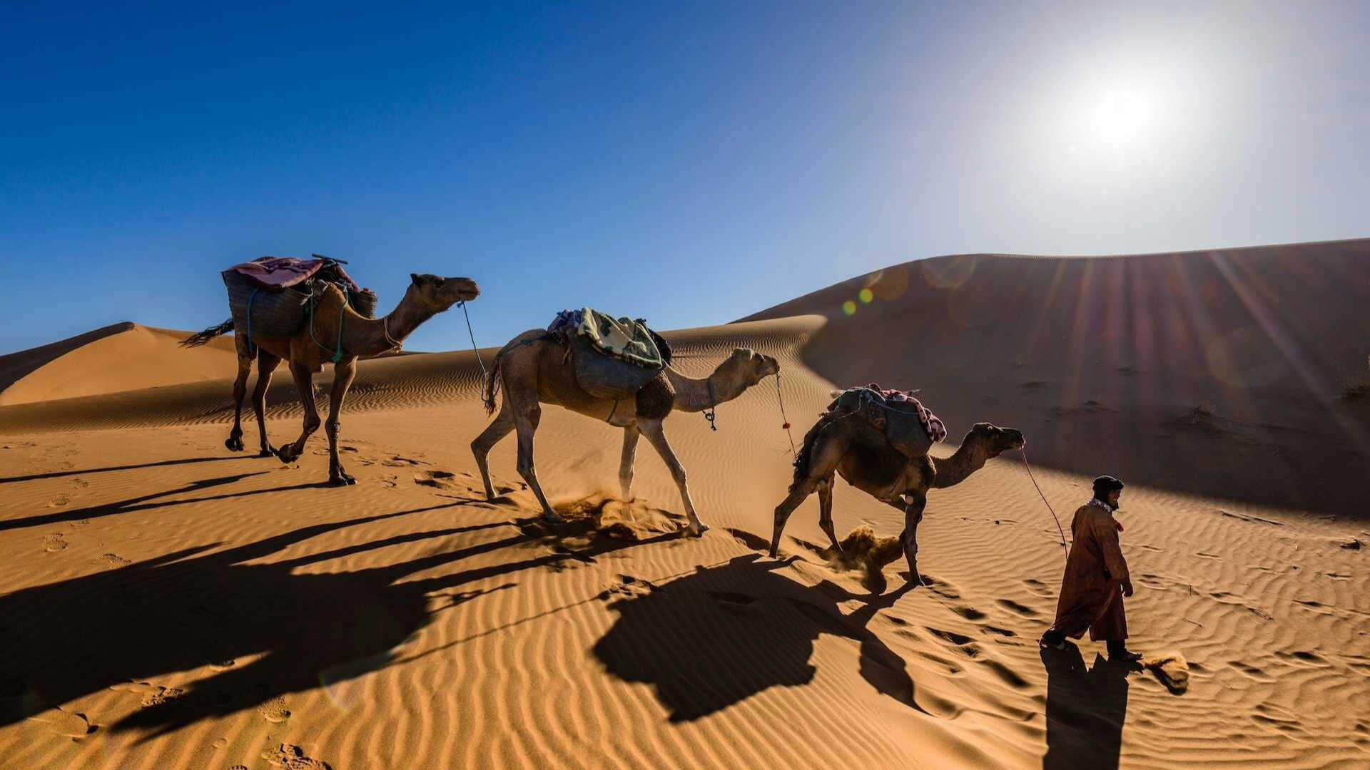 trekdesertmorocco-can2025