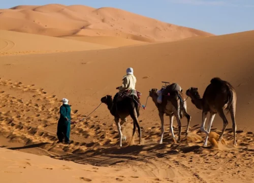 Morocco Desert Tour 2025 : Find the Nation’s True Spirit After the Final Whistle