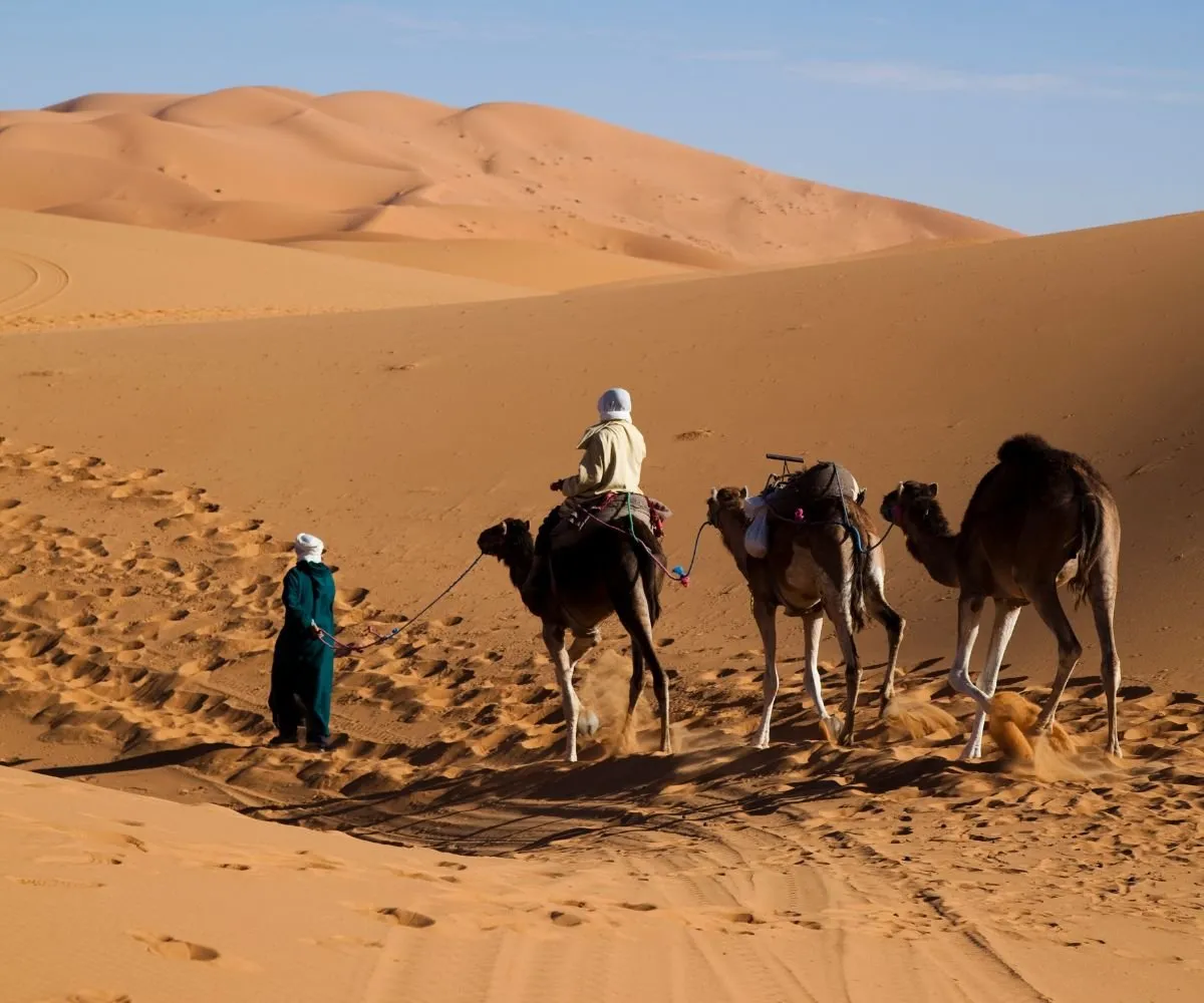 Morocco Desert Tour 2025 : Find the Nation's True Spirit After the Final Whistle