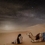 Desert Trip from Rabat 2026 : Your Gateway to Morocco's Sahara Adventure