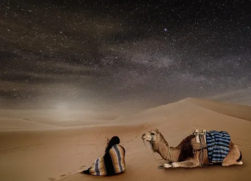 Desert Trip from Rabat 2026 : Your Gateway to Morocco’s Sahara Adventure
