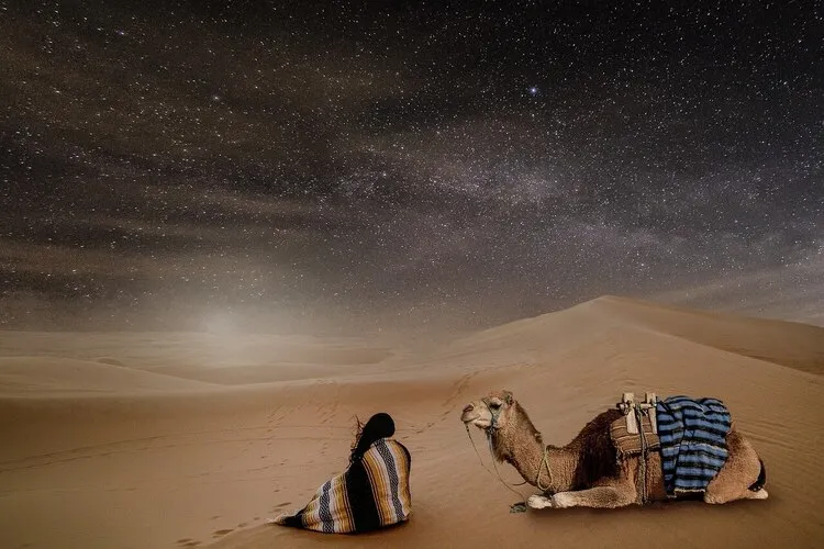 Desert Trip from Rabat 2026 : Your Gateway to Morocco's Sahara Adventure