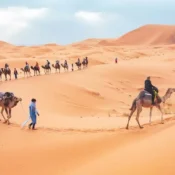 Discover the best desert tours from Fes to the Sahara. Experience overnight camel treks, luxury desert camps, and Berber culture. Book your unforgettable Moroccan adventure today.