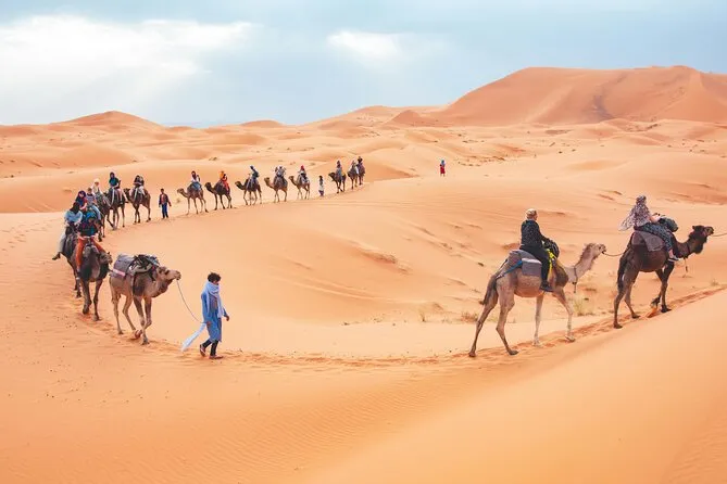 Discover the best desert tours from Fes to the Sahara. Experience overnight camel treks, luxury desert camps, and Berber culture. Book your unforgettable Moroccan adventure today.