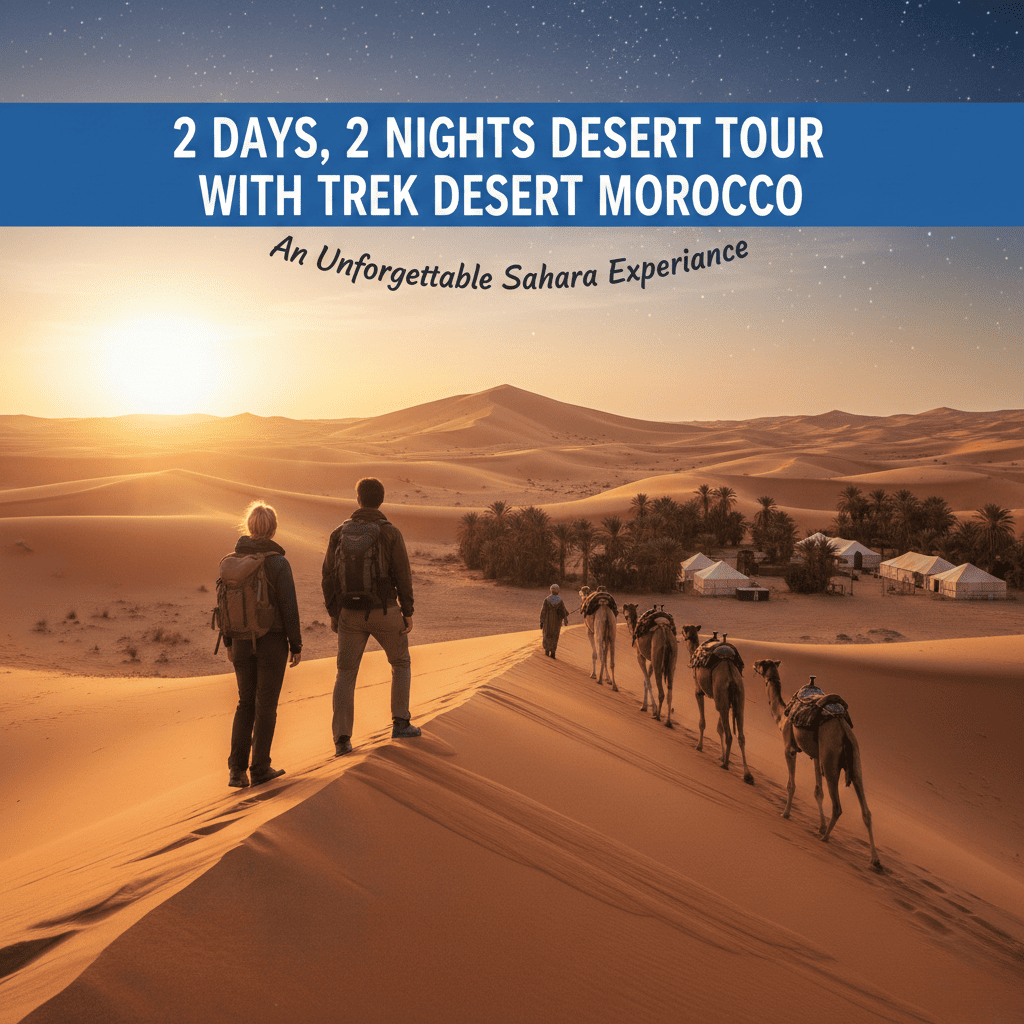 desert tours